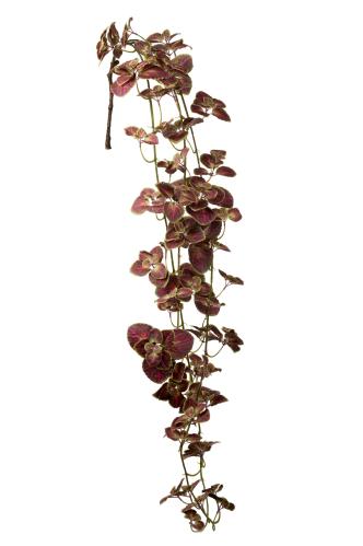 Palettblad - Grön - 90 cm - www.frokenfraken.se