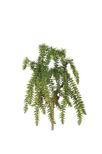 Lummer - Grön - 50 cm - www.frokenfraken.se