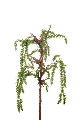 Lummer - Grön - 90 cm - www.frokenfraken.se
