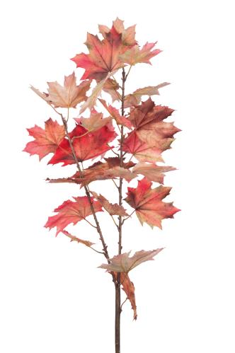 Lönn - 140 cm - www.frokenfraken.se