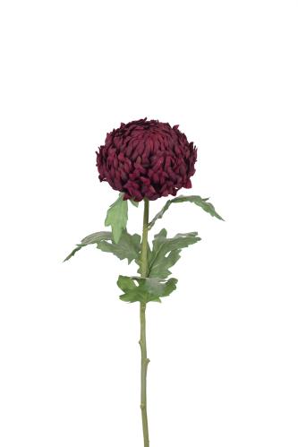 Chrystanthemum - Röd - 70 cm - www.frokenfraken.se