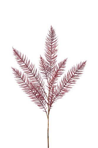 Asparagus - Röd - 120 cm - www.frokenfraken.se