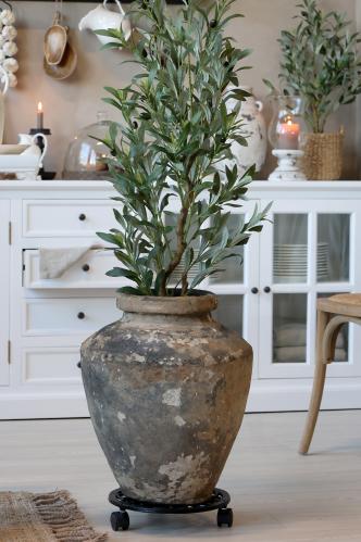 Olivträd - 132 cm - www.frokenfraken.se