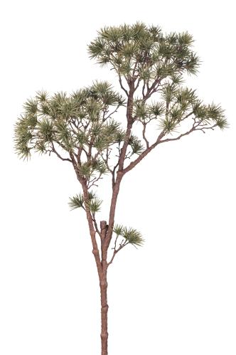 Lärkkvist - - 90 cm - www.frokenfraken.se