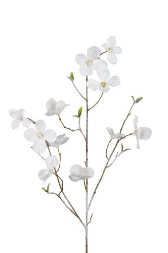 Blomsterkornell med snö - Vit - 100 cm - www.frokenfraken.se