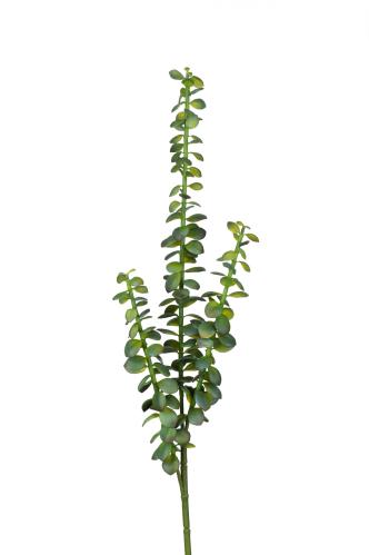 Succulent - Grön - 85 cm - www.frokenfraken.se