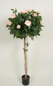 Rosenträd - Rosa - 140 cm - www.frokenfraken.se