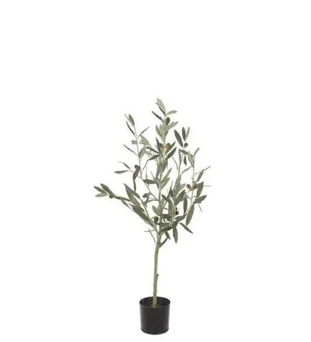 Olivträd - Grön - 90 cm - www.frokenfraken.se