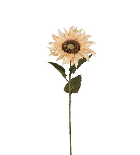 Solros - Beige - 60 cm - www.frokenfraken.se