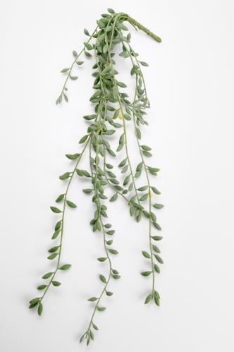 Senecio - Grön - 52 cm - www.frokenfraken.se