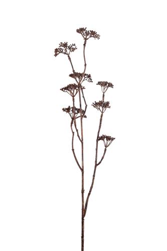 Kvist - Brun - 70 cm - www.frokenfraken.se