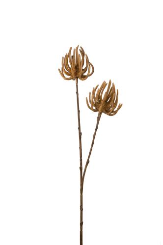 Succulent - Brun - 70 cm - www.frokenfraken.se