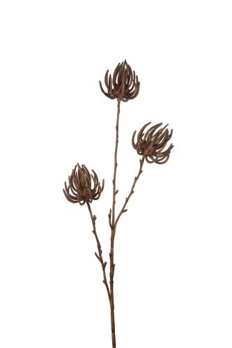 Succulent - Brun - 75 cm - www.frokenfraken.se