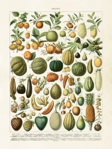 Poster - Pumpor - 18 x 24 cm - www.frokenfraken.se