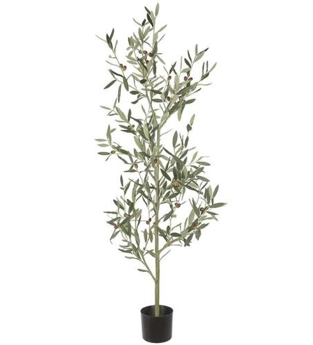 Olivträd - Grön - 140 cm - www.frokenfraken.se