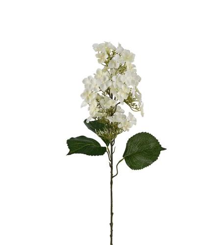 Syrénhortensia - Vit - 80 cm - www.frokenfraken.se