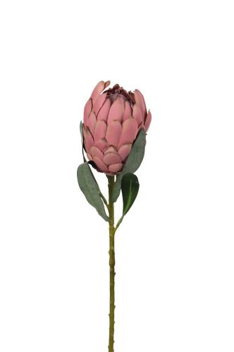 Protea - Rosa - 60 cm - www.frokenfraken.se