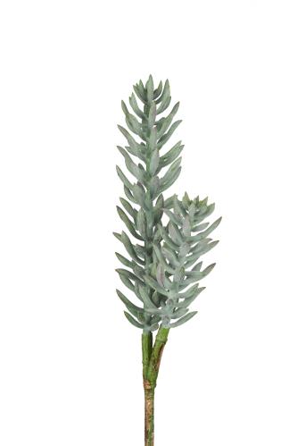Succulent - Grön - 50 cm - www.frokenfraken.se