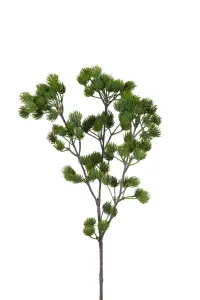 Lärkkvist - - 40 cm - www.frokenfraken.se