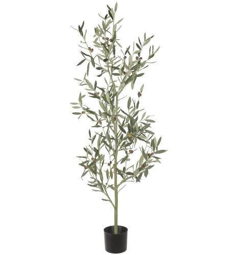 Olivträd - Grön - 140 cm - www.frokenfraken.se