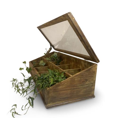 Displaylåda med lock - Trä & Glas - 62,5 x 20 x 28 cm - www.frokenfraken.se