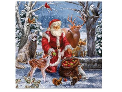 Servetter - Tomte med skogens djur - 12-pack - 33 x 33 cm - www.frokenfraken.se