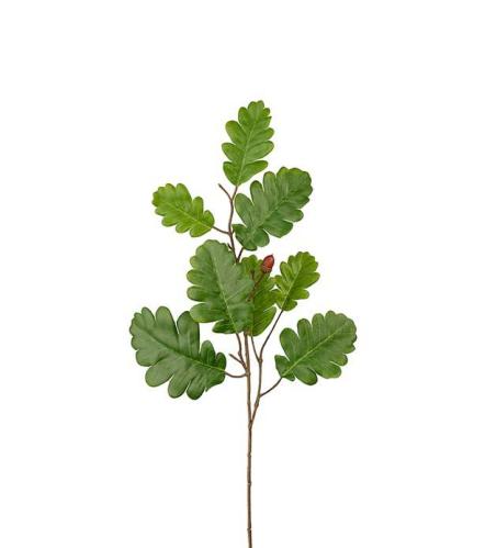 Ek - Grön - 60 cm - www.frokenfraken.se