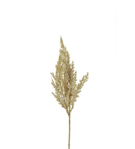 Pampasgräs - Natur - 35 cm - www.frokenfraken.se