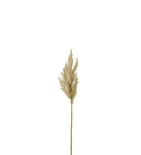 Pampasgräs - Natur - 80 cm - www.frokenfraken.se