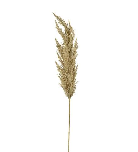 Pampasgräs - Natur - 120 cm - www.frokenfraken.se