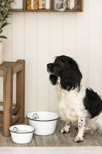 Hundmatskål - Emalj vit - 22 cm - www.frokenfraken.se