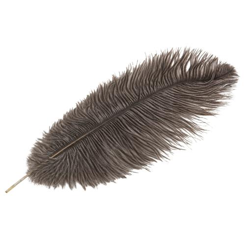 Strutsfjäder - Natur - 35 cm - www.frokenfraken.se