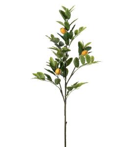 Citronkvist - Grön - 120 cm - www.frokenfraken.se