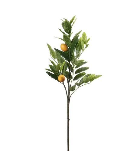 Citronkvist - Grön - 90 cm - www.frokenfraken.se