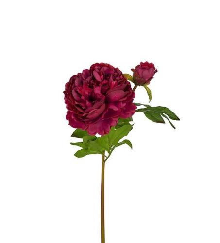 Pion - Burgundy - 65 cm - www.frokenfraken.se