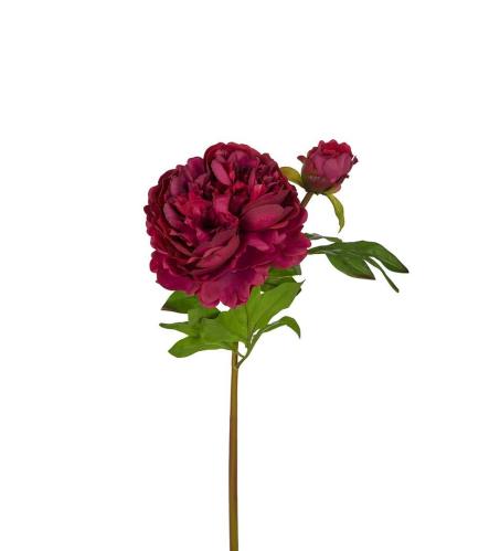 Pion - Burgundy - 65 cm - www.frokenfraken.se