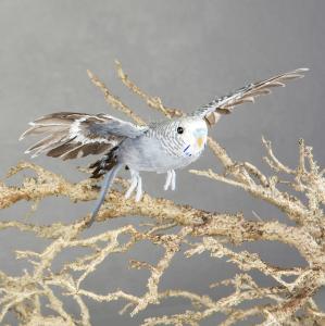 Fågel - Grå Undulat Flygande - 20 cm - www.frokenfraken.se