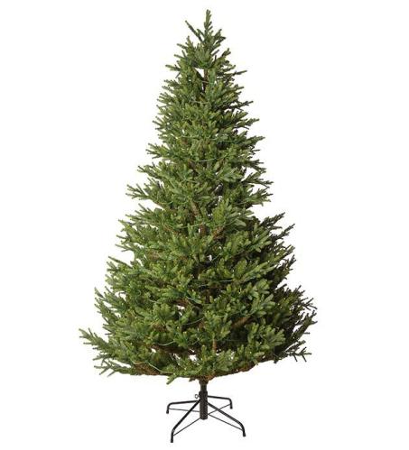 Gran Kittelfjäll - Julgran - 520 lp - Grön - 210 cm - www.frokenfraken.se