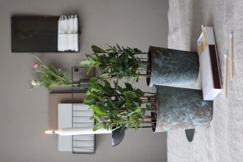 Vägghållare - För kronljus - Svart - Metall - 22 x 5 x 42 cm - www.frokenfraken.se