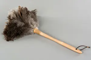 Dammvippa - Fjäderdammvippa - 45 cm - www.frokenfraken.se