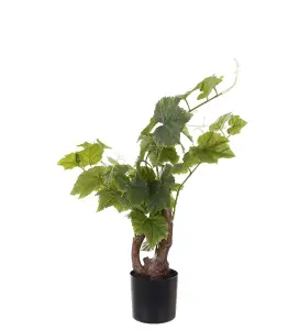 Vinstock - Grön - 55 cm - www.frokenfraken.se
