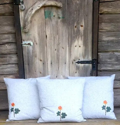 Kuddfodral - Hjortron - Mitten - Ljusgrå - 50 x 50 cm - www.frokenfraken.se