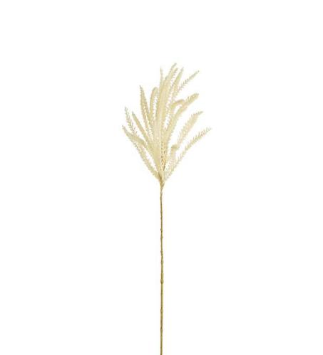 Gräs - Beige - 90 cm - www.frokenfraken.se