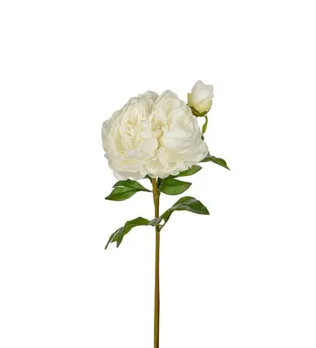Pion - Vit - 65 cm - www.frokenfraken.se