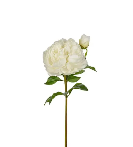 Pion - Vit - 65 cm - www.frokenfraken.se