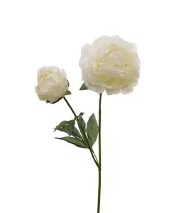 Pion - Vit - 75 cm - www.frokenfraken.se