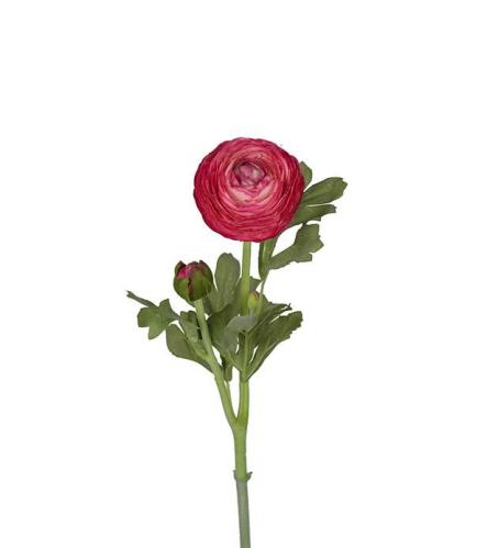 Ranuncel - Cerise - 50 cm - www.frokenfraken.se