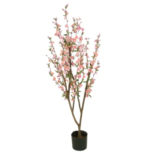 Körsbärsträd - 120 cm - www.frokenfraken.se