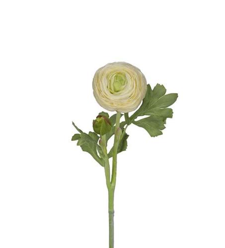 Ranuncel - Vit - 50 cm - www.frokenfraken.se