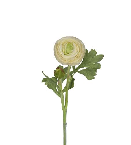 Ranuncel - Vit - 50 cm - www.frokenfraken.se